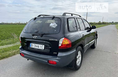 Внедорожник / Кроссовер Hyundai Santa FE 2002 в Полтаве