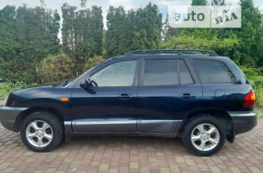 Внедорожник / Кроссовер Hyundai Santa FE 2004 в Луцке