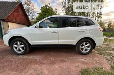 Позашляховик / Кросовер Hyundai Santa FE 2009 в Сновську