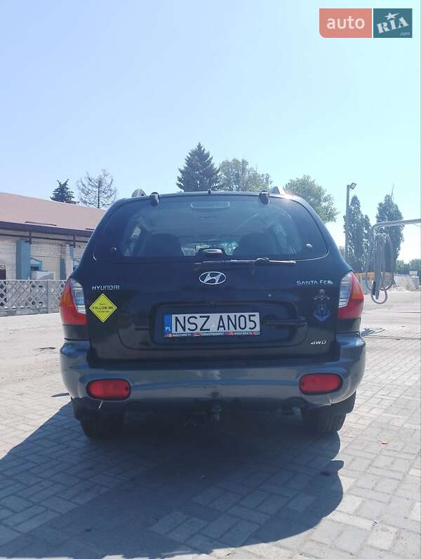 Внедорожник / Кроссовер Hyundai Santa FE 2003 в Днепре