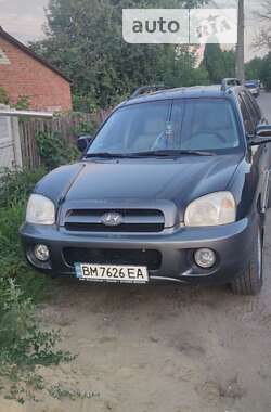 Позашляховик / Кросовер Hyundai Santa FE 2005 в Тростянці