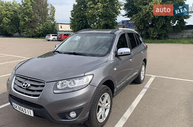 Позашляховик / Кросовер Hyundai Santa FE 2010 в Рівному