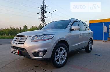 Внедорожник / Кроссовер Hyundai Santa FE 2010 в Луцке