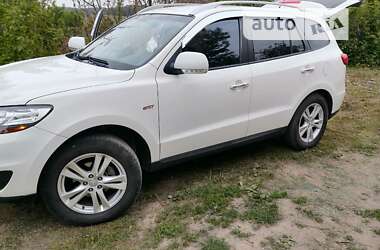 Внедорожник / Кроссовер Hyundai Santa FE 2011 в Сумах