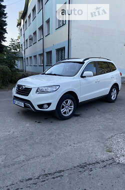 Внедорожник / Кроссовер Hyundai Santa FE 2012 в Радивилове