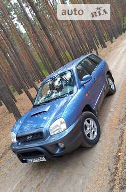 Внедорожник / Кроссовер Hyundai Santa FE 2003 в Запорожье