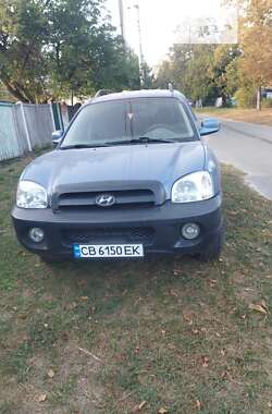 Внедорожник / Кроссовер Hyundai Santa FE 2002 в Городне