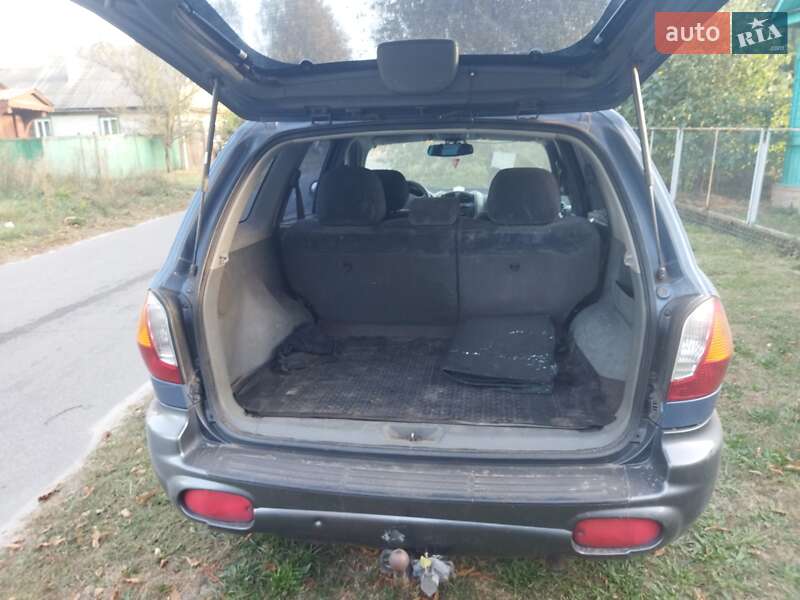 Внедорожник / Кроссовер Hyundai Santa FE 2002 в Городне