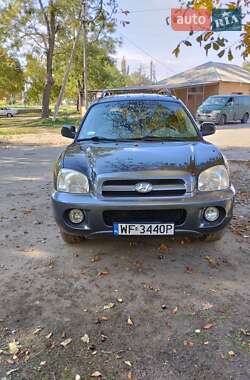 Внедорожник / Кроссовер Hyundai Santa FE 2005 в Запорожье