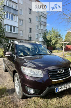 Внедорожник / Кроссовер Hyundai Santa FE 2011 в Конотопе