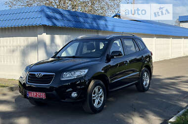 Внедорожник / Кроссовер Hyundai Santa FE 2010 в Радивилове