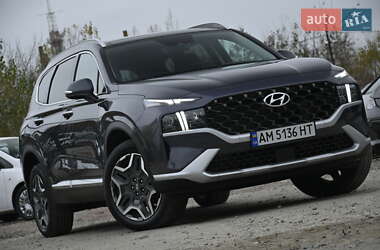 Внедорожник / Кроссовер Hyundai Santa FE 2022 в Бердичеве