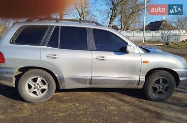 Позашляховик / Кросовер Hyundai Santa FE 2001 в Кропивницькому