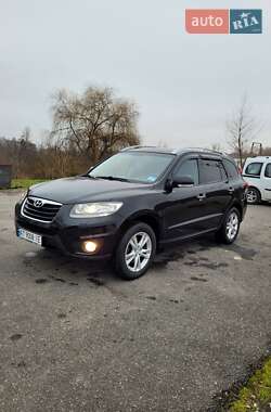 Позашляховик / Кросовер Hyundai Santa FE 2010 в Тлумачі