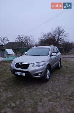 Внедорожник / Кроссовер Hyundai Santa FE 2011 в Пересечном