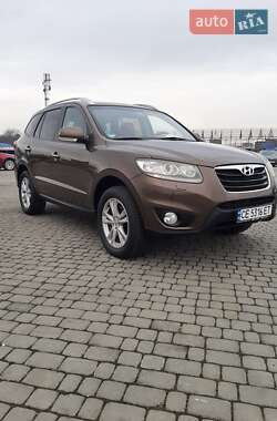 Позашляховик / Кросовер Hyundai Santa FE 2010 в Чернівцях