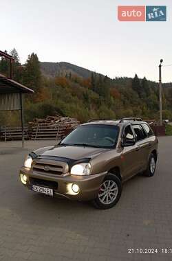 Внедорожник / Кроссовер Hyundai Santa FE 2005 в Верховине