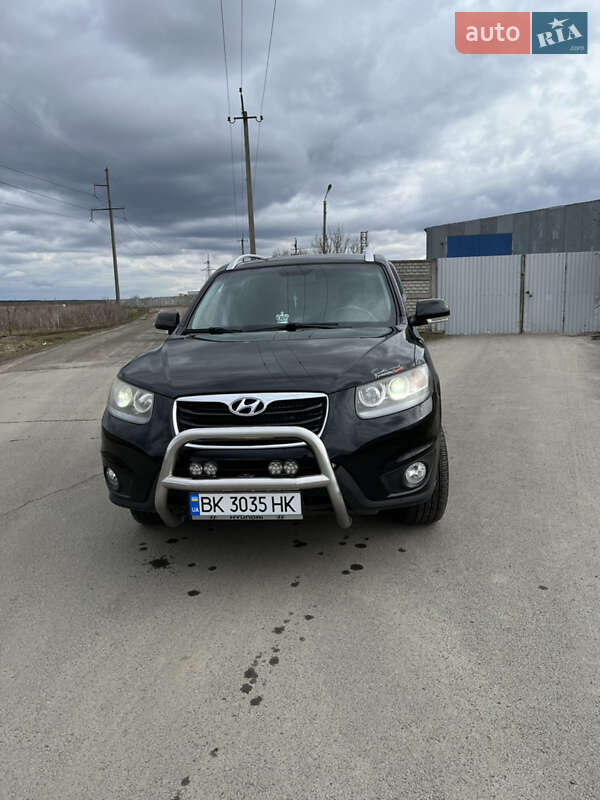 Позашляховик / Кросовер Hyundai Santa FE 2010 в Костопілі