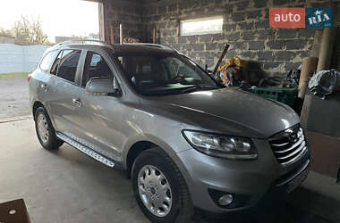 Позашляховик / Кросовер Hyundai Santa FE 2010 в Рівному