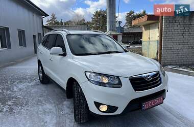 Внедорожник / Кроссовер Hyundai Santa FE 2010 в Радивилове