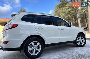 Внедорожник / Кроссовер Hyundai Santa FE 2010 в Радивилове