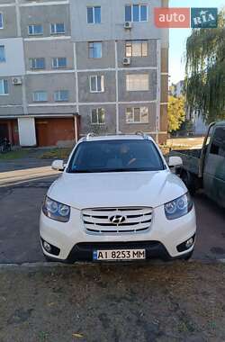 Внедорожник / Кроссовер Hyundai Santa FE 2010 в Славутиче