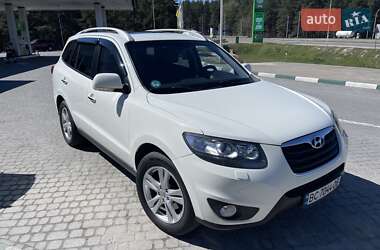 Позашляховик / Кросовер Hyundai Santa FE 2009 в Бродах