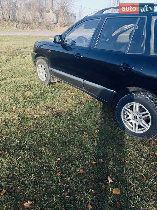Внедорожник / Кроссовер Hyundai Santa FE 2003 в Подгайцах