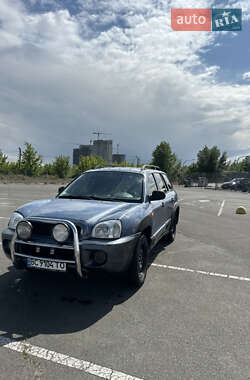 Внедорожник / Кроссовер Hyundai Santa FE 2002 в Киеве