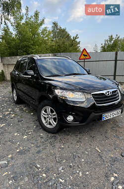 Позашляховик / Кросовер Hyundai Santa FE 2010 в Кременці