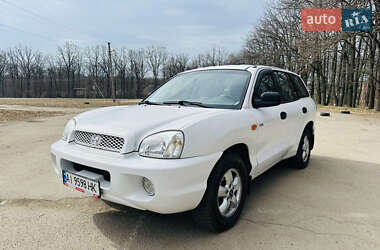 Внедорожник / Кроссовер Hyundai Santa FE 2005 в Умани