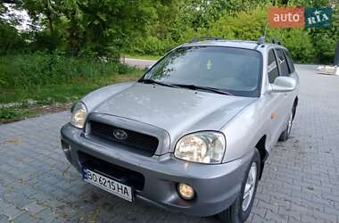 Внедорожник / Кроссовер Hyundai Santa FE 2002 в Тернополе