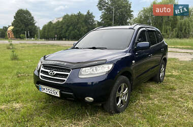 Внедорожник / Кроссовер Hyundai Santa FE 2007 в Шостке