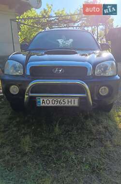 Внедорожник / Кроссовер Hyundai Santa FE 2004 в Мукачево