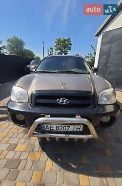 Позашляховик / Кросовер Hyundai Santa FE 2005 в Гребінці