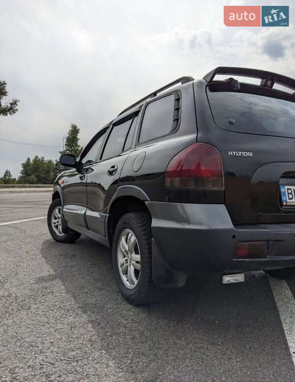 Внедорожник / Кроссовер Hyundai Santa FE 2004 в Ромнах