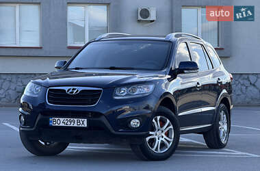 Позашляховик / Кросовер Hyundai Santa FE 2010 в Тернополі