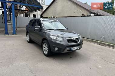 Позашляховик / Кросовер Hyundai Santa FE 2011 в Житомирі