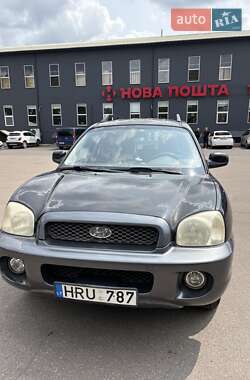 Позашляховик / Кросовер Hyundai Santa FE 2003 в Чернігові