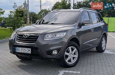 Позашляховик / Кросовер Hyundai Santa FE 2010 в Коломиї