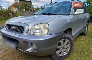 Внедорожник / Кроссовер Hyundai Santa FE 2004 в Сарнах