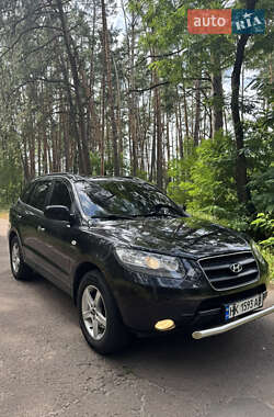 Позашляховик / Кросовер Hyundai Santa FE 2006 в Мені