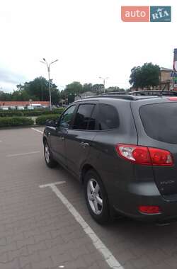 Внедорожник / Кроссовер Hyundai Santa FE 2007 в Житомире