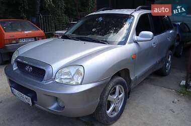 Внедорожник / Кроссовер Hyundai Santa FE 2002 в Барышевке