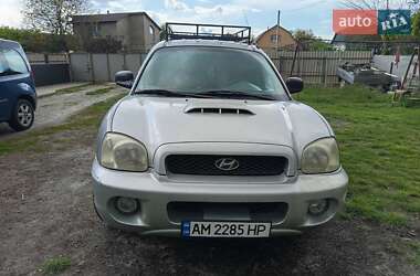 Внедорожник / Кроссовер Hyundai Santa FE 2002 в Ставище