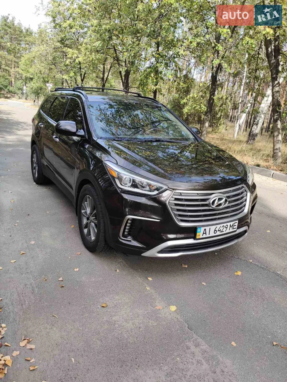 2016 Hyundai Santa Fe - мініатюра 11