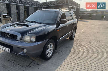 Внедорожник / Кроссовер Hyundai Santa FE 2002 в Бедевле