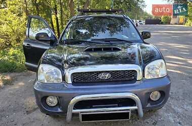 Внедорожник / Кроссовер Hyundai Santa FE 2001 в Запорожье