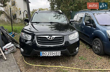 Позашляховик / Кросовер Hyundai Santa FE 2010 в Заліщиках