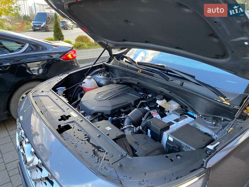 Внедорожник / Кроссовер Hyundai Santa FE 2020 в Ивано-Франковске фото 93 Внедорожник / Кроссовер Hyundai Santa FE 2020 в Ивано-Франковске